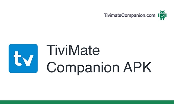 TiviMate Companion Alternatives